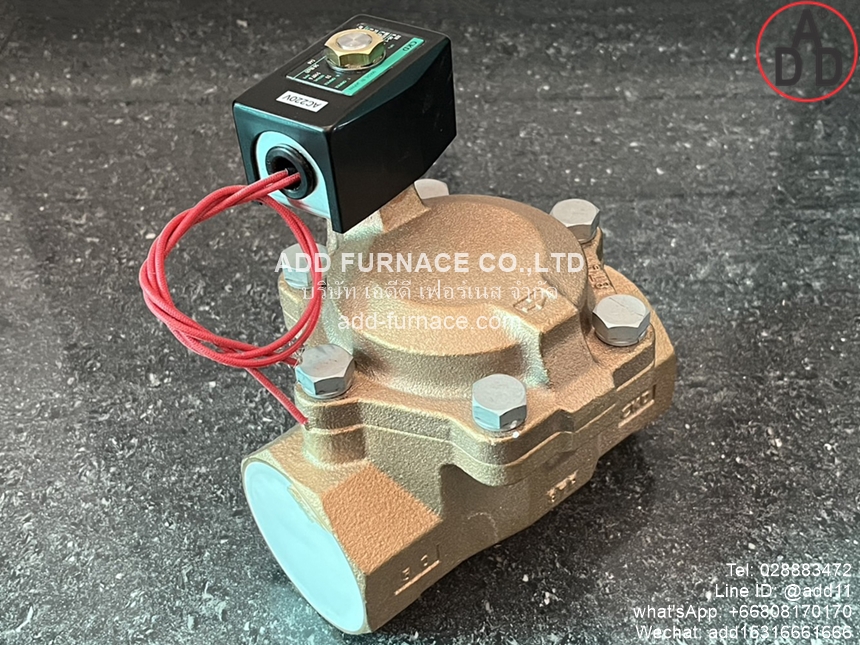 CKD AP21-50A-C4A-AC220V (5) 